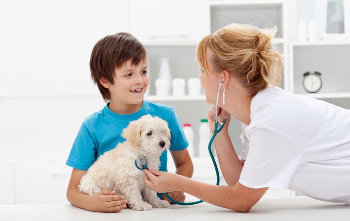 Factors that can affect the cost of pet care