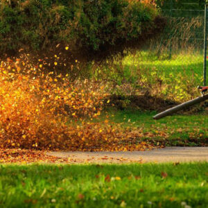 Planning on buying a leaf blower? Here’s what you need to know