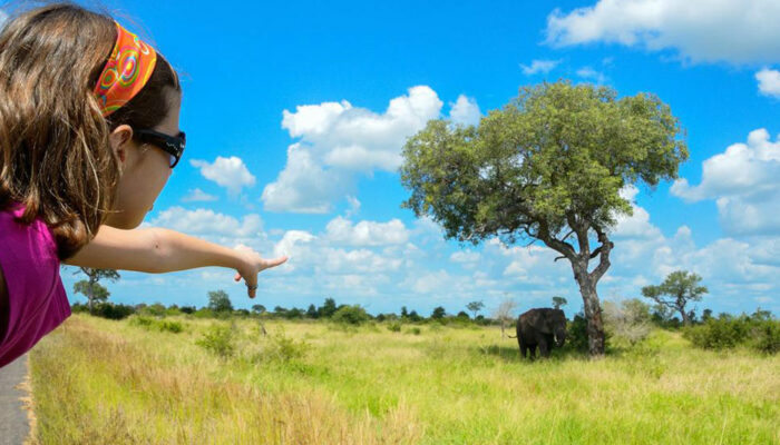 4 South African Tour Companies to Consider