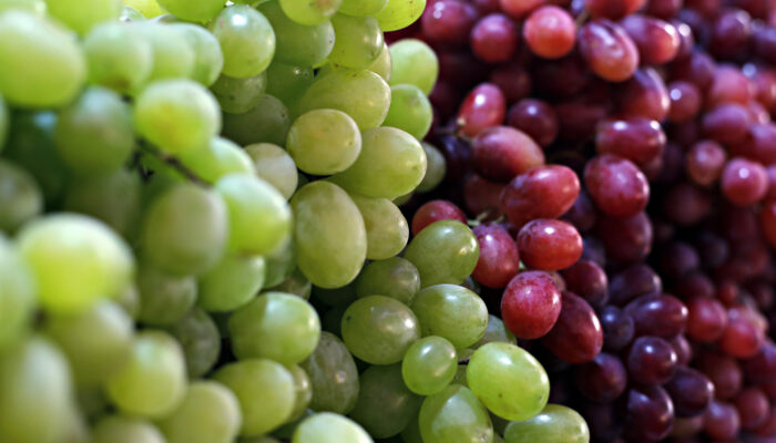 Toxic Foods for Dogs